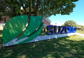 Suzano oferece mais de 50 vagas para Programa de Estágio