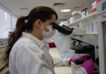 Vale e ICMBio lançam projeto inédito para mapear DNA da biodiversidade brasileira