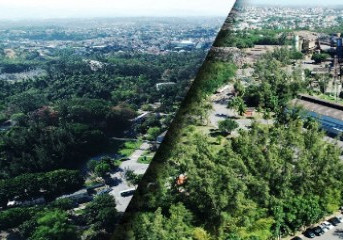 Simec Cariacica mantém área verde de 567 mil metros quadrados