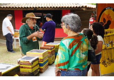 Parque Botânico Vale recebe 6ª Exposição de Abelhas Nativas sem ferrão