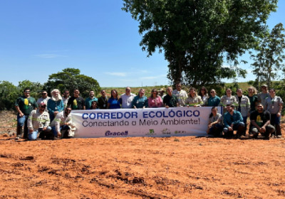 Bracell planta 8 mil árvores nativas e cria corredor ecológico para fortalecer biodiversidade