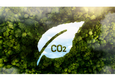 Bandes divulga resultado da primeira etapa da chamada pública para gestora do Fundo de Descarbonização