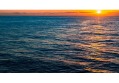 Como empresa líder na transição energética justa, reforçamos os compromissos de reduzir emissões e investir em soluções de baixo carbono