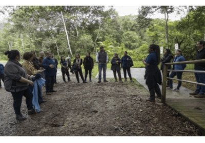Suzano e Ecofuturo firmam parceria com Instituto Ekos Brasil e União Internacional para a Conservação da Natureza para fortalecer gestão de áreas naturais protegidas