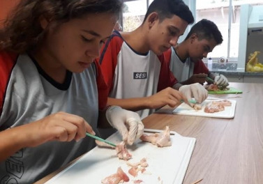 Alunos do Sesi têm aula de anatomia