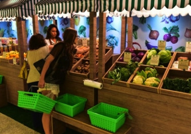 Feira Orgânica do Shopping Vila Velha conta com palestra na programação deste sábado (23)