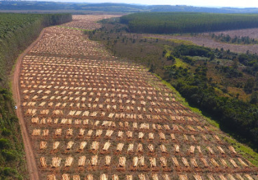 Fibria utiliza drones e Veículos Aéreos não Tripulados (Vant) em operações florestais