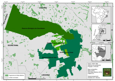 Campanha vai sensibilizar usuários da BR 101 sobre riscos à fauna e flora das reservas Natural Vale e Biológica de Sooretama