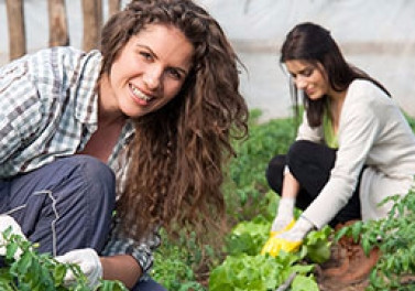 Últimos dias para se inscrever no Curso Técnico em Agronegócio do SENAR