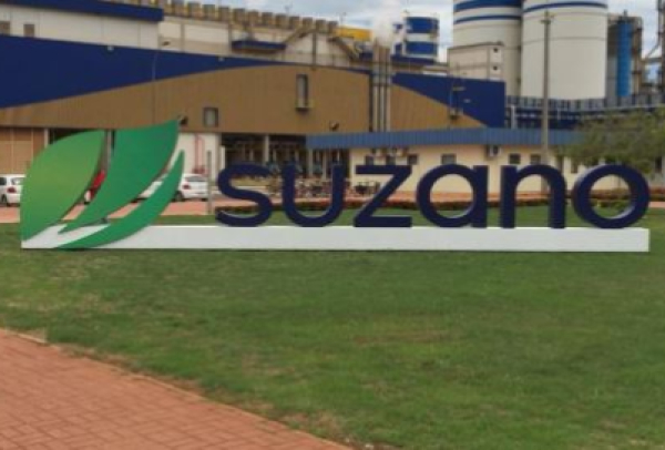 Suzano vende 2,9 milhões de toneladas de celulose e papéis no segundo trimestre de 2024