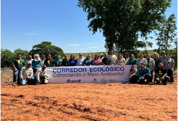 Bracell planta 8 mil árvores nativas e cria corredor ecológico para fortalecer biodiversidade