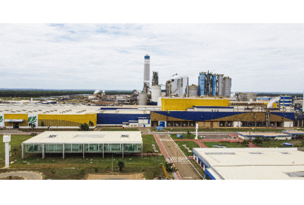 Suzano realiza Parada Geral nas duas fábricas de Três Lagoas