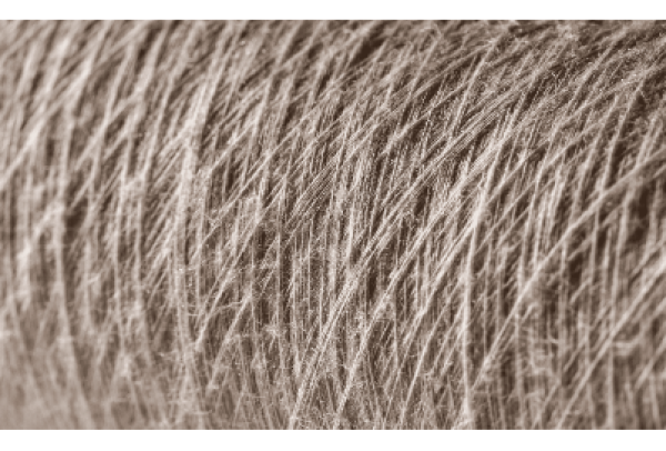 Suzano recebe certificações internacionais inéditas para sua lignina kraft e celulose microfibrilada