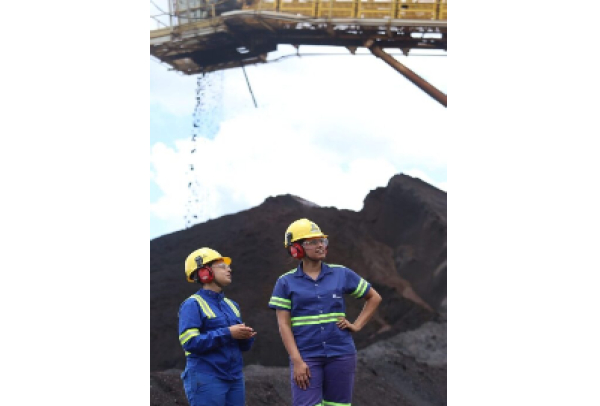 Gerdau recebe reconhecimento internacional por suas práticas ambientais e sociais na operação de Miguel Burnier