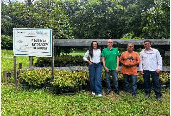 Suzano doa 500 mil mudas de eucalipto ao Cedagro/Incaper e amplia atuação ambiental no Espírito Santo