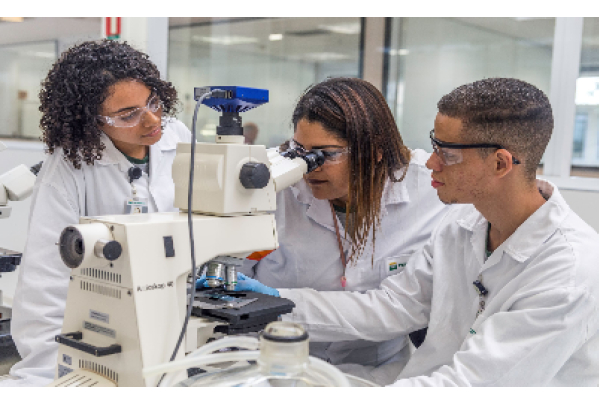 Petrobras abre mais de 700 vagas para jovens aprendizes em 13 Estados e no Distrito Federal