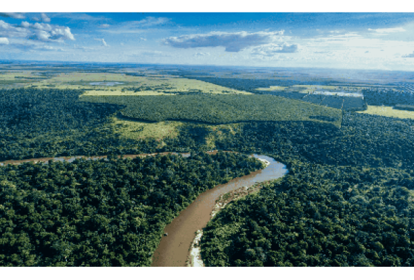 Suzano utiliza gravadores de som e DNA ambiental em iniciativa pioneira de monitoramento da biodiversidade em MS