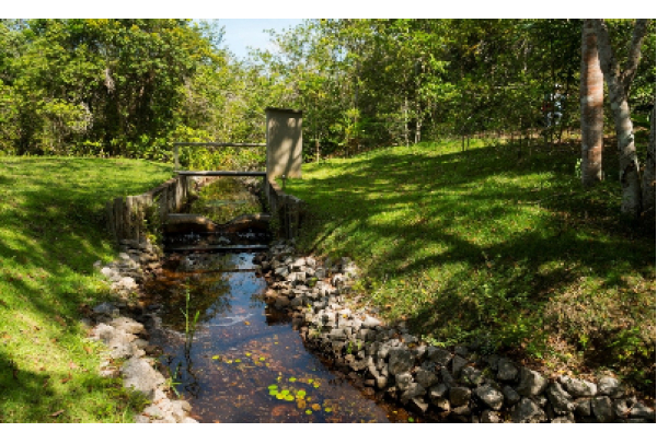 Iniciado em Aracruz há mais de três décadas, Projeto Microbacias impulsiona metas de água da Suzano