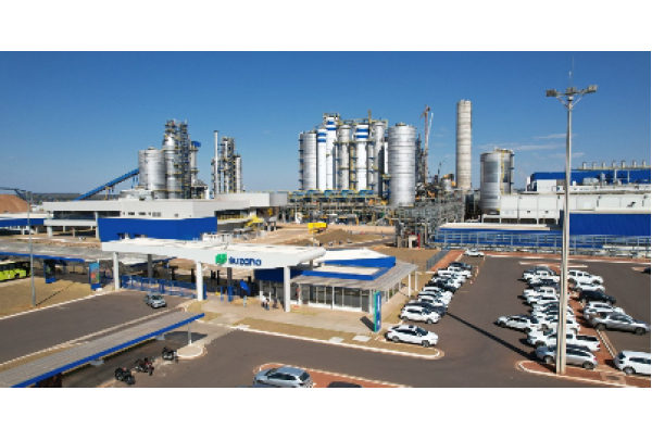 Suzano vende 12,7 milhões de toneladas de celulose pela primeira vez na história