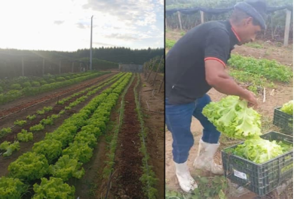 Agricultor transforma a vida da família com apoio da Suzano