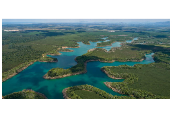 Suzano publica primeiro relatório alinhado às recomendações da TNFD