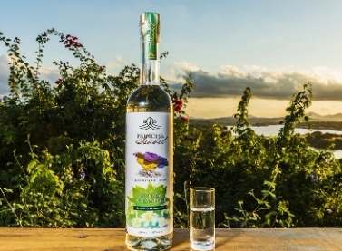 Cachaça do Espírito Santo é eleita a melhor do país