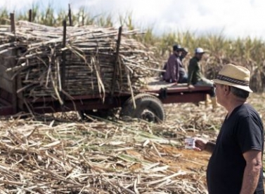 Alambique Princesa Isabel inicia produção de 30 mil litros de cachaça