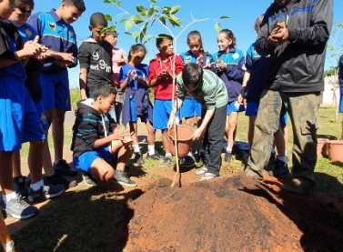 Com apoio da Suzano, crianças plantam árvores e revitalizam praças em Três Lagoas (MS)