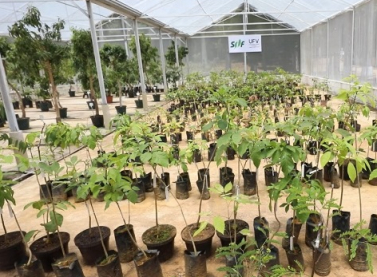 Com avanço da pandemia, Vale reforça medidas de proteção e mantém cronograma para reparação integral em Brumadinho