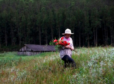 Exposição multimídia “A Floresta sob um Novo Prisma” chega ao Shopping Vitória