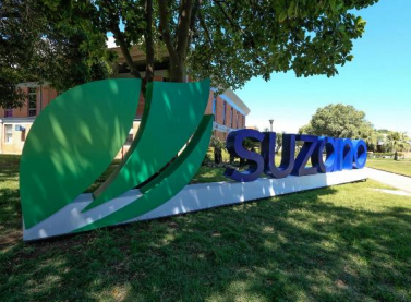 Jovens têm até o dia 9 de agosto para se inscreverem em programa de qualificação da Suzano
