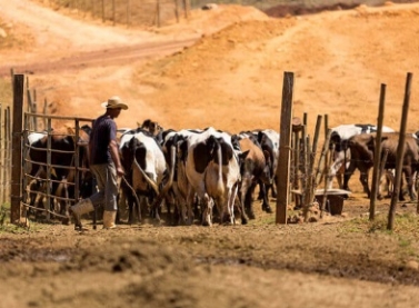 Produtor Rural como protagonista da recuperação ambiental é tema de palestra