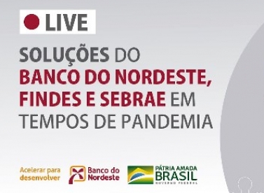 Sebrae/ES e Findes participam de live com o Banco de Nordeste sobre soluções de crédito em tempos de pandemia