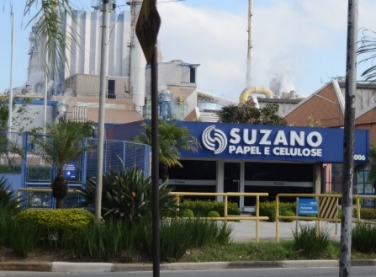 Suzano cota de R$ 6 bi a R$ 8 bi com bancos para aquisição da Fibria