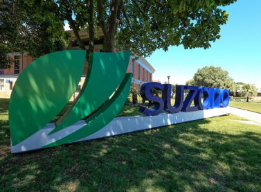 Suzano abre inscrições para o Programa de Estágio 2022