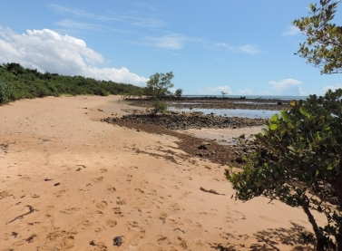 Unidade de conservação no Espírito Santo recebe compensação de R$ 13,4 milhões