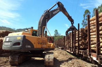 Fibria registra recorde no transporte de madeira por ferrovia