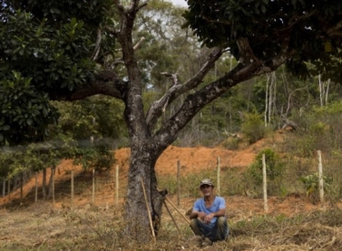 Pagamento por serviços ambientais (PSA) vai remunerar proprietários rurais que promoverem ações de recuperação ambiental