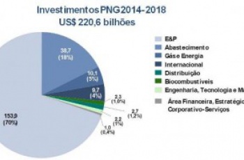 Plano de Negócios e Gestão: PNG 2014-2018