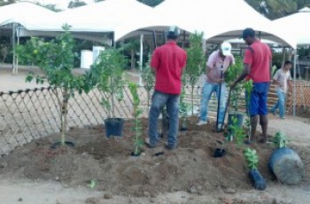 Preparativos para Semana da Agricultura estão a todo vapor