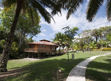 Vagão Cultural apresenta Parque Botânico e Reserva Natural Vale no Trem de Passageiros