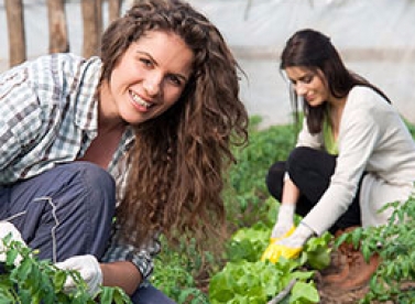 Últimos dias para se inscrever no Curso Técnico em Agronegócio do SENAR