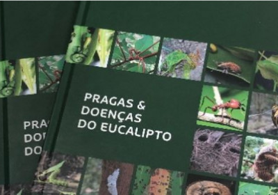 Livro reúne informações essenciais para identificação de pragas e doenças do eucalipto