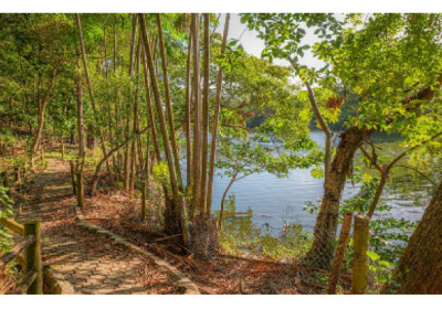 Em conexão com a natureza: evento “Banho de Floresta” chega ao Parque Botânico Vale