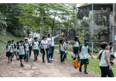 Projeto Xerimbabo Usiminas tem início em outubro com circuito de visitação ambiental