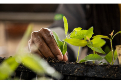Suzano está com 20 vagas abertas para Jovem Aprendiz em Itapetininga