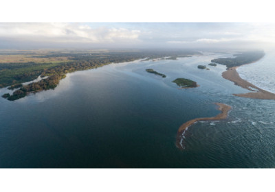 Samarco realiza repasse de R$ 278 milhões para o financiamento do programa de monitoramento da biodiversidade aquática na Bacia do Rio Doce