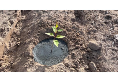 No Dia Mundial da Água, Suzano destaca iniciativa que reutiliza resíduo industrial para redução no consumo de água no processo de irrigação