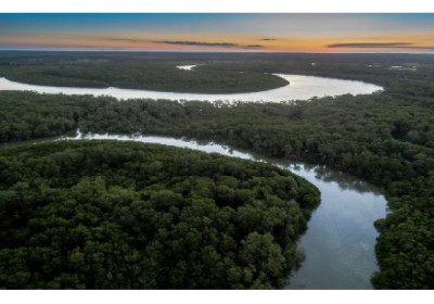 Suzano avança com corredores ecológicos entre a Bahia e o ES