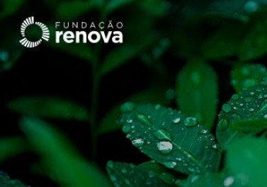 As inscrições para o Edital de Credenciamento para os processos Restauração Florestal da Fundação Renova foram prorrogadas